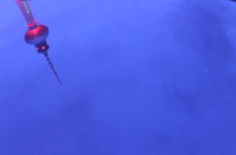 how to collect dot airdrop massive