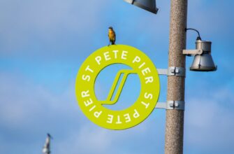 how to collect pepe airdrop without gas fee