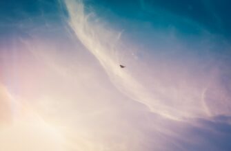 how to earn ton airdrop step by step