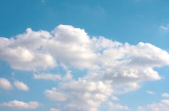 how to free dot airdrop massive