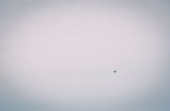 how to free dot airdrop step by step