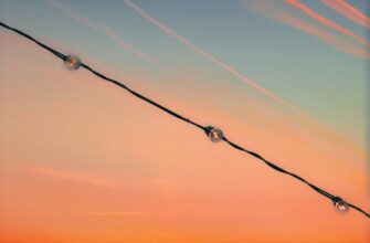how to free sol airdrop upcoming 2025