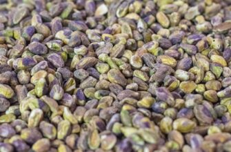 how to protect seed phrase safely