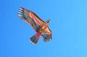 how to receive aptos airdrop massive