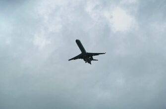 how to receive avax airdrop tutorial