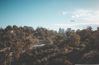 how to report airdrop income in australia
