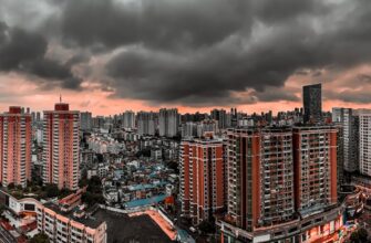 how to report bitcoin gains in brazil