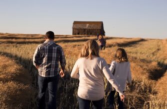 how to report defi yield in canada