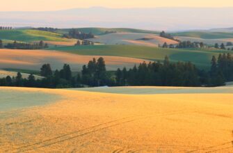 how to report defi yield in germany