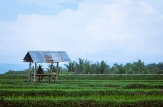 how to report defi yield in indonesia