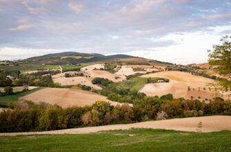 how to report defi yield in italy