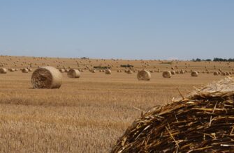 how to report defi yield in spain