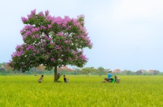how to report defi yield in thailand