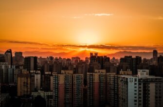 how to report nft profit in brazil