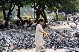 how to sell eth instantly in islamabad