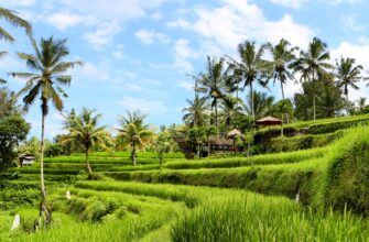 how to sell usdt with visa in bali