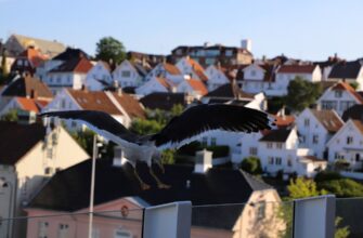 is airdrop income taxable in germany 2025