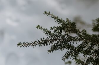 is it safe to anonymize seed phrase air gapped