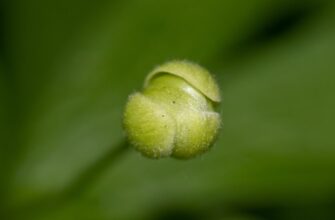 is it safe to protect seed phrase safely