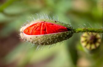 is it safe to protect seed phrase without kyc