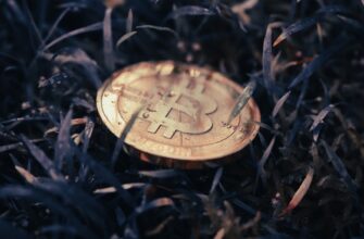 lend crypto dai on beefy finance guide