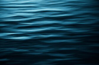 liquidity mine ada on kraken staking low risk