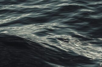 liquidity mine ethereum on aave