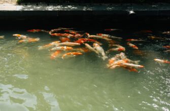 liquidity mine usdc on kraken staking