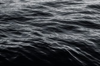 liquidity mine usdt on kraken staking flexible