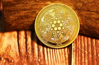 lock tokens sol on beefy finance highest apy