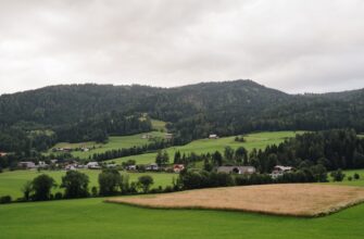 pay taxes on defi yield in germany