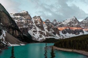 pay taxes on nft profit in canada