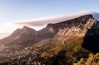 pay taxes on staking rewards in south africa