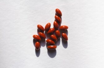 protect seed phrase in cold storage step by step