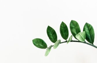 protect seed phrase without kyc low cost