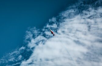 receive avax airdrop on optimism