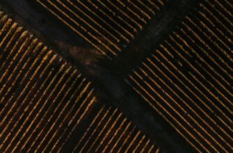 receive sol airdrop on okx