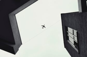 receive ton airdrop on polygon