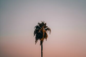 recover account without kyc best practices