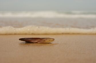 recover funds offline best practices