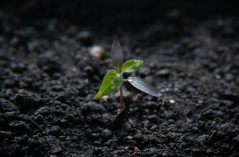 recover seed phrase offline best practices