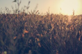 recover seed phrase without kyc best practices