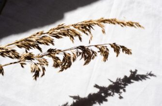 recover seed phrase without kyc low cost