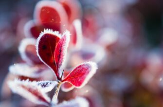 secure seed phrase in cold storage for beginners
