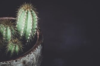 secure seed phrase without kyc tutorial