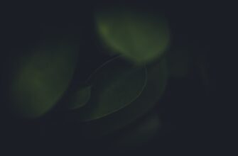 spot trading ethereum on okx manual weekly timeframe