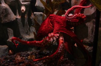 stake usdc on kraken staking best apy