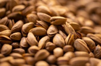 store seed phrase in cold storage step by step
