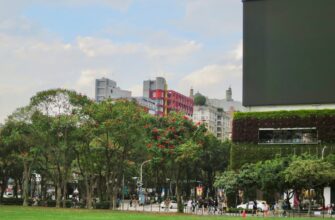 trade eth in 2025 in buenos aires