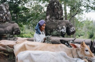 trade eth instantly in bali